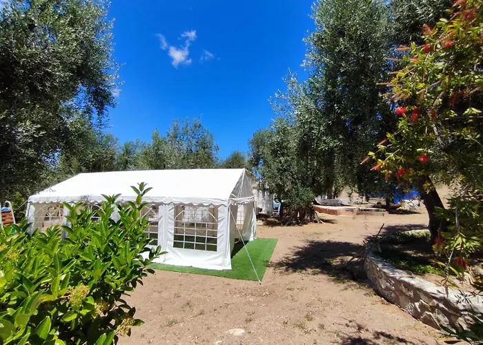 Casa vacanza: Villa Rosy